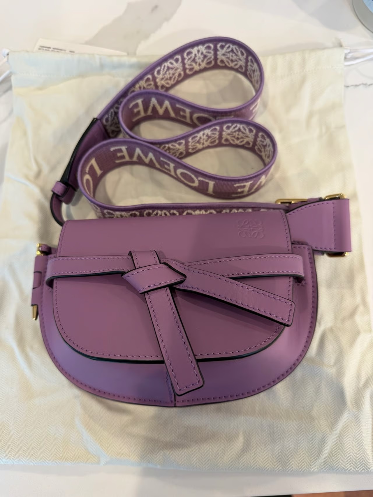 Loewe Gate Dual Mini Bag