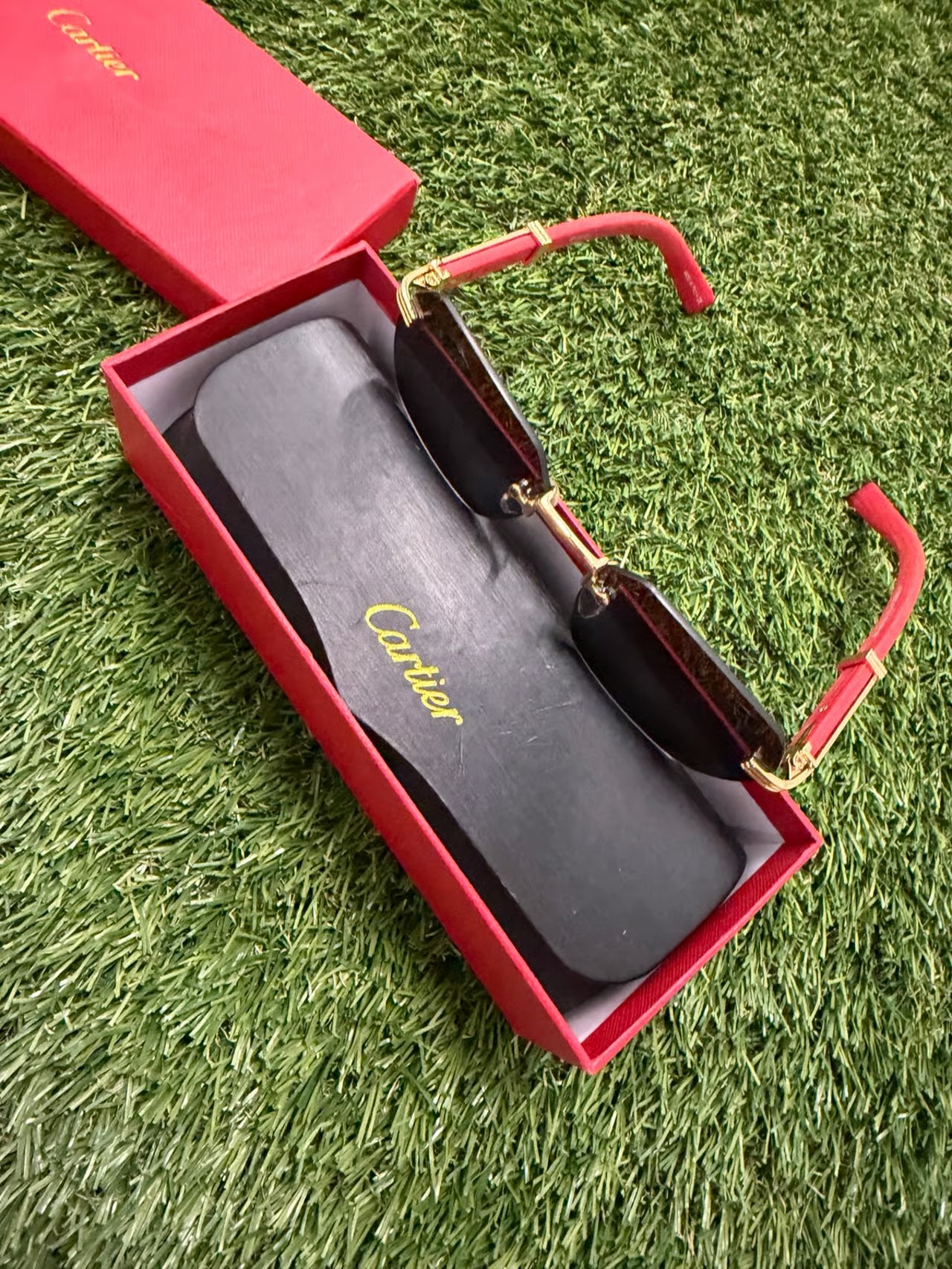 Cartier Sunglasses Horn and Wood Première