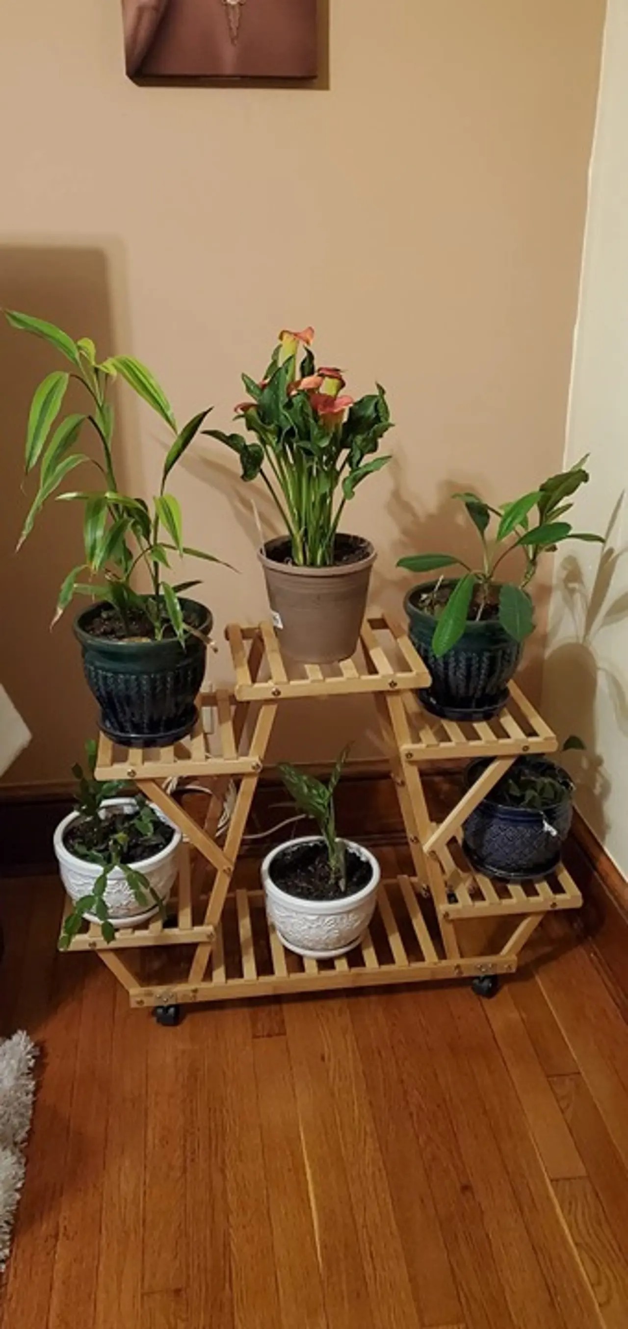 Bamboo Rolling 6 Tier Plant Stand Rack Multiple Flower Pot Holder Shelf