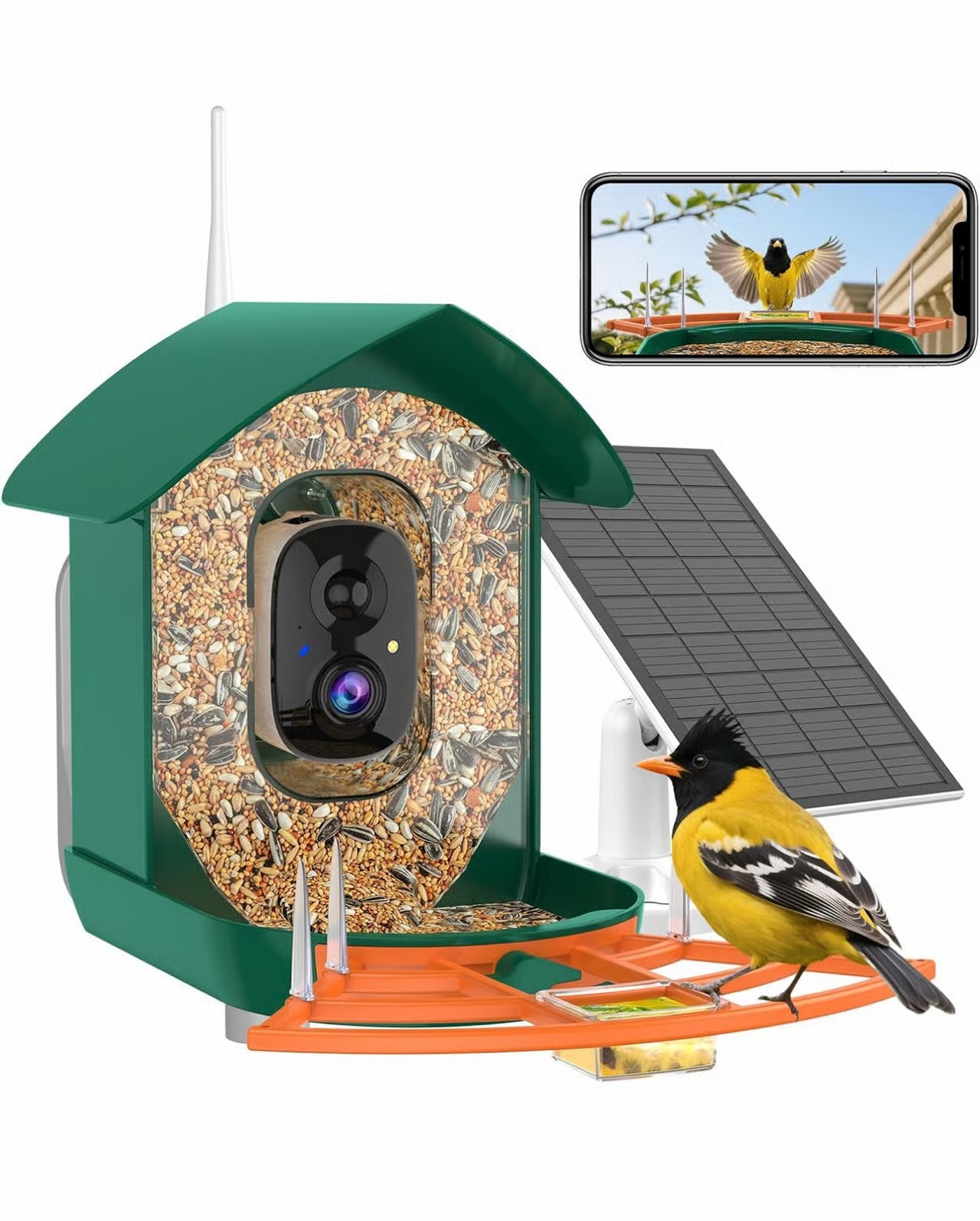Bird Feeder with Camera,WiFi Smart Bird House with Cam Solar Powered for Outdoor